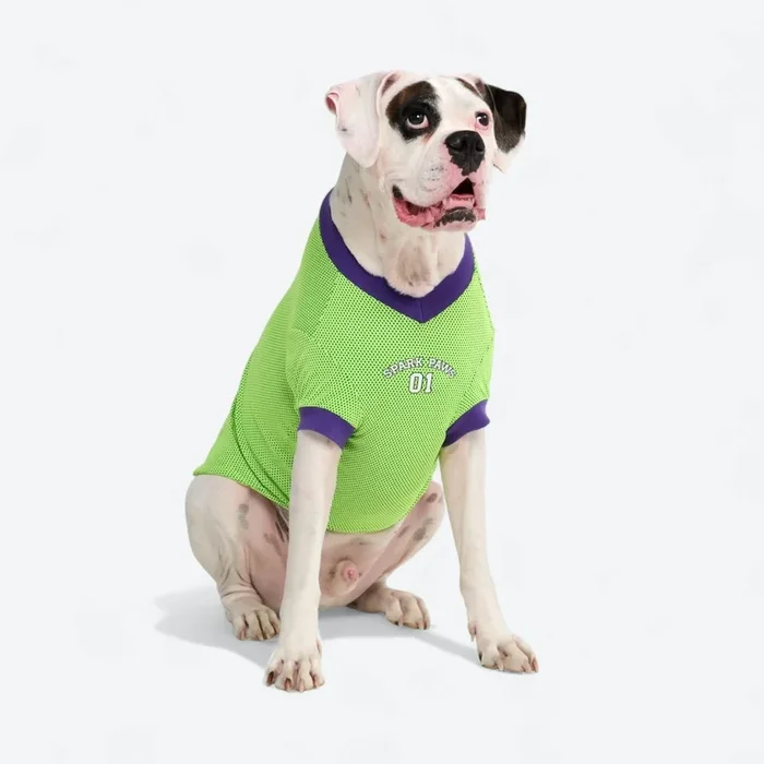 Football Mesh Jersey – Lime Green