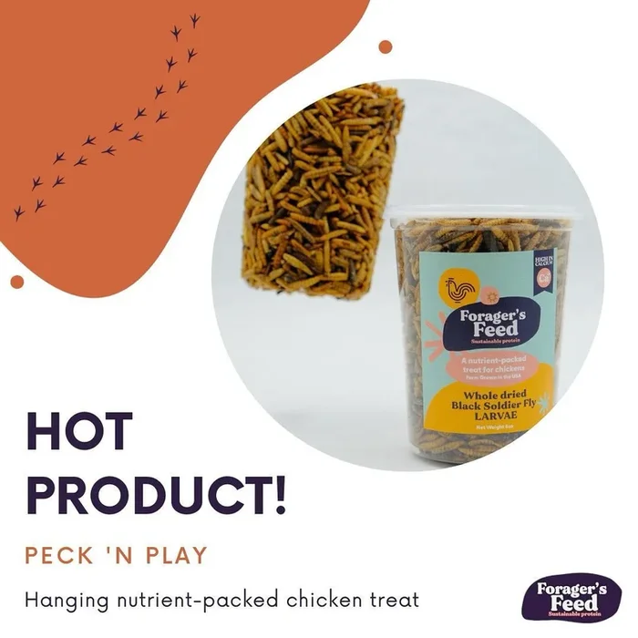 Forager’s Feed Black Soldier Fly Larvae Cake Play Cup*