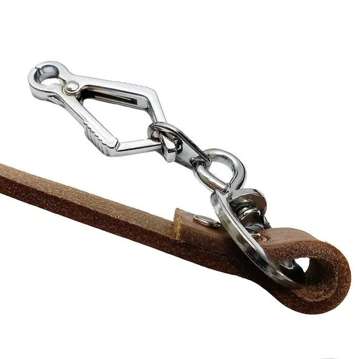 French Snap Beagle Lead
