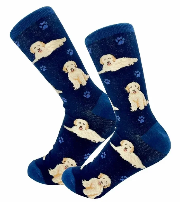 Goldendoodle, Navy Socks-Full Body