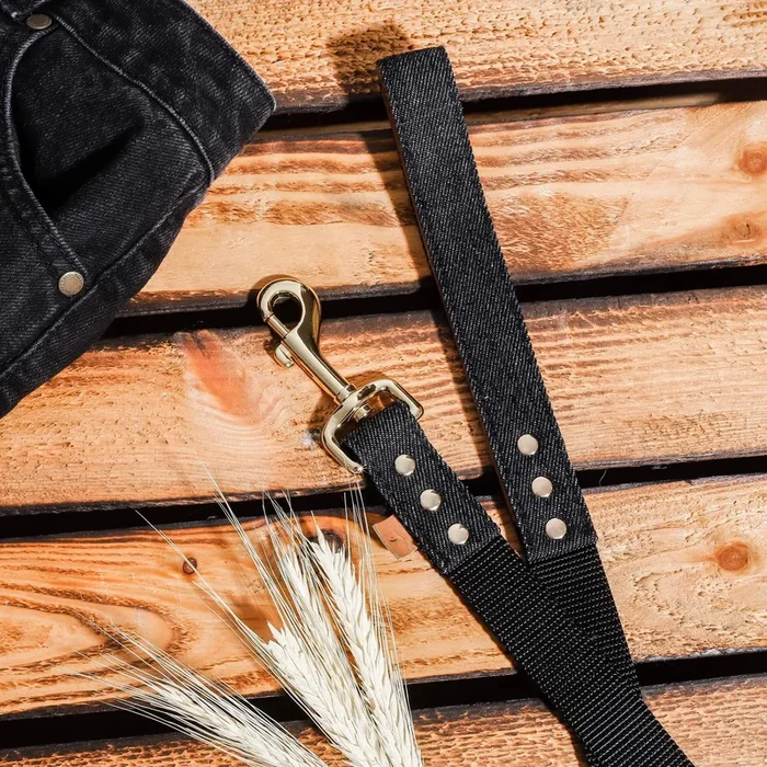 Great Genes – Black Wash – Leash