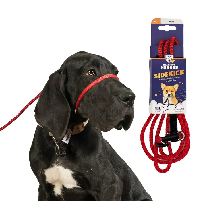 Heather’s Heroes Sidekick Mini Red Dog Leash 1/4″ x 6′