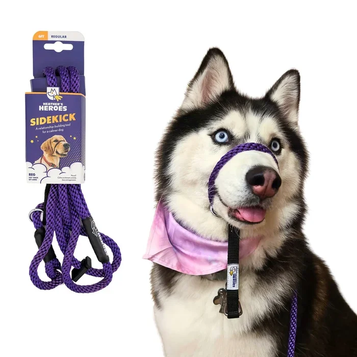 Heather’s Heroes Sidekick Regular 3/8″ x 6′ Purple Dog Leash