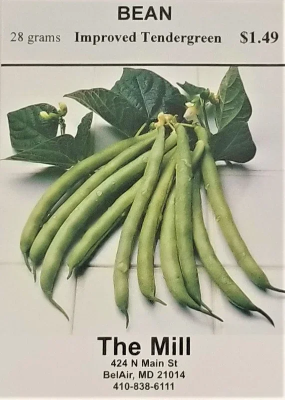 Improved Tendergreen Bush Bean Vegetable Seed