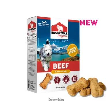 Indomitable Grain-Free Baked Biscuits for Dogs 460g – BEEF flavored Vegan human grade