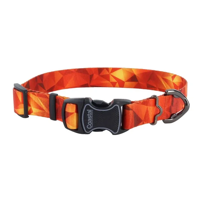 Inspire Adjustable Fashion Dog Collar, Blazing Shards, Extra Small