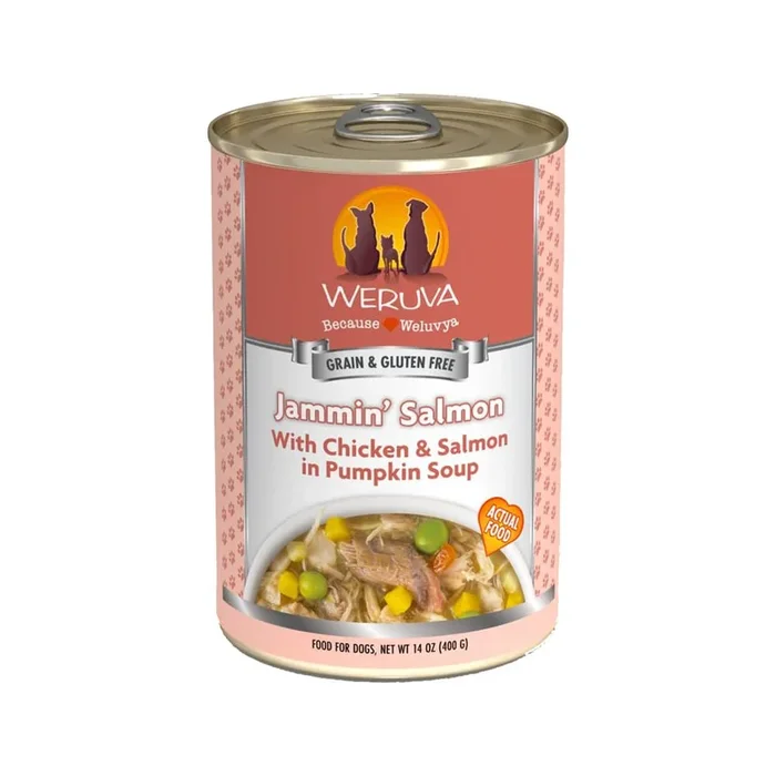 Jammin’ Salmon Chicken & Salmon in Pumpkin Soup Dog Can