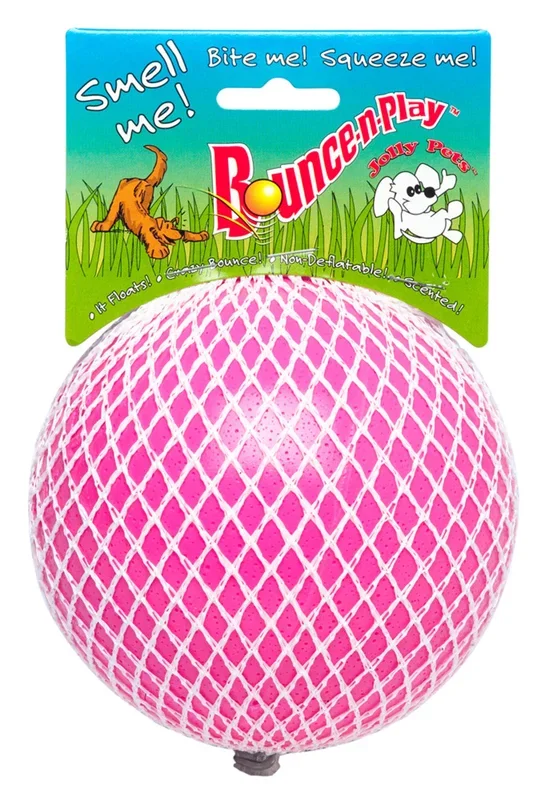 Jolly Pets Bounce N Play