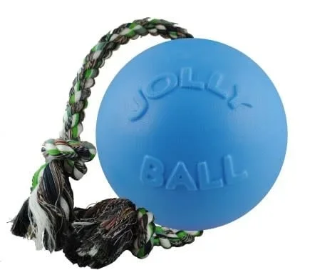 Jolly Pets Romp-N-Roll