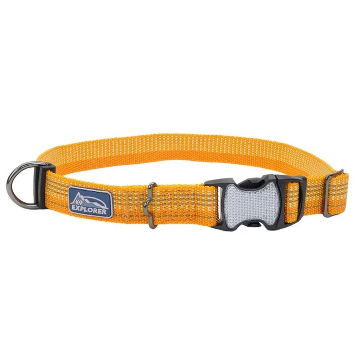K9 Explorer Brights Reflective Adjustable Dog Collar, Desert, Extra Small