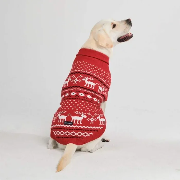 Knit Christmas Dog Sweater – Dasher Red