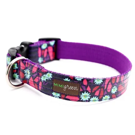 Laminated Cotton Collars and Leads