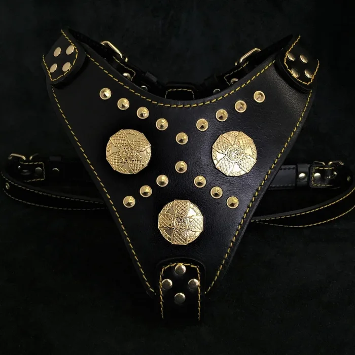 Le harnais “Maximus” noir & or