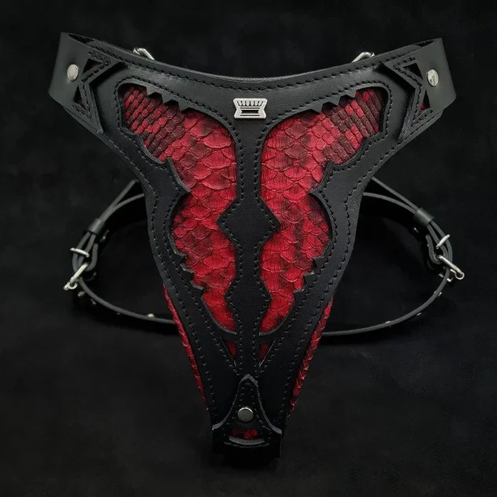Le harnais ”Dragon Roug”