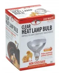 Little Giant Clear Heat Lamp Bulb 250 Watt