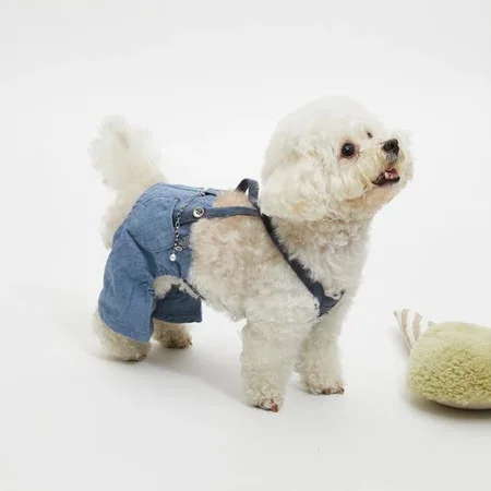 Louisdog Organic Denim Burmuda Pants