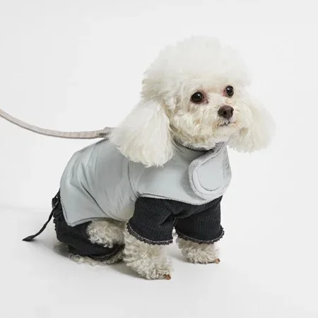Louisdog Secret Spaces Walking Jacket