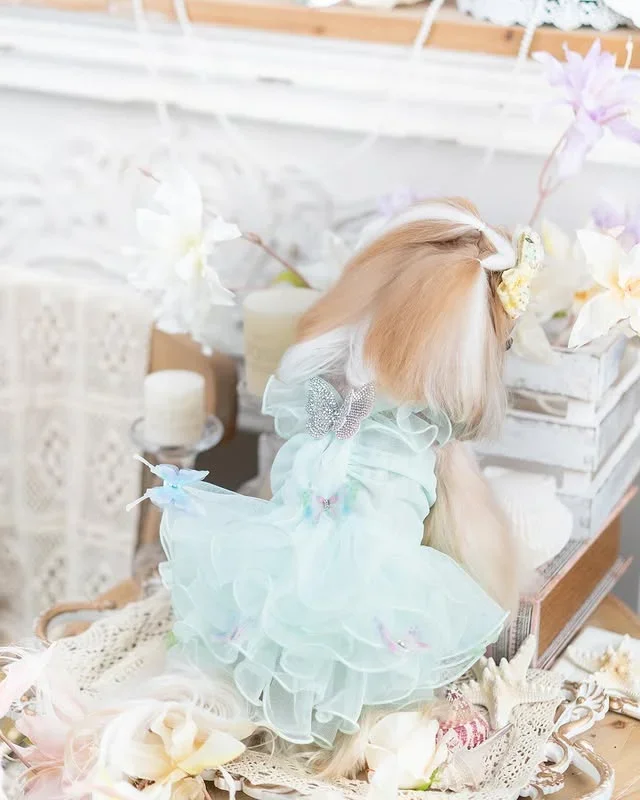 Luxury design dog dress diamond butterfly 2 colors
