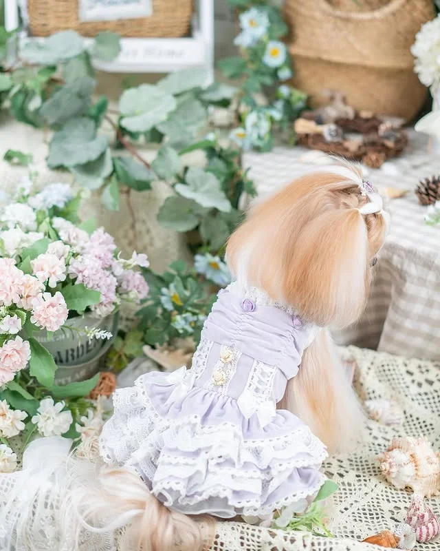 Luxury design dog dress velvet rose 2 colors