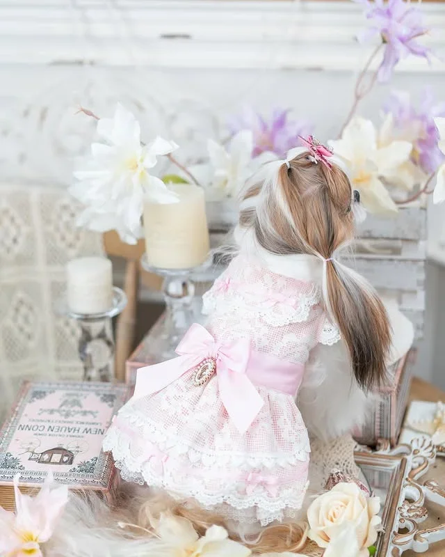 Luxury design dog dress vintage lace