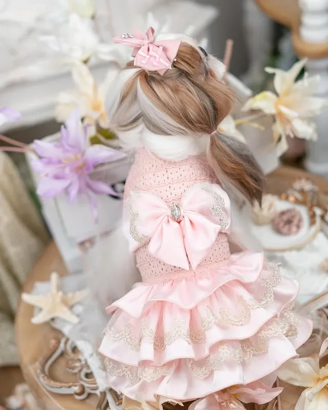 Luxury design high quality dog dress lace big bow