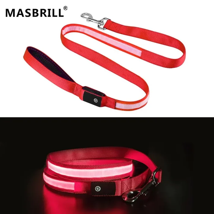 Correa LED para perros MASBRILL, recargable por USB