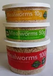 Mealworms – 100g Tub Pisces