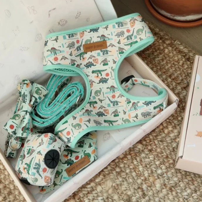 Mint Snappy Dino Dappertie™ – Mega Bundle Match