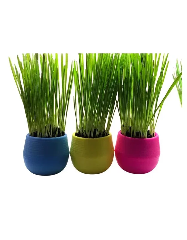 MOM’S INDOOR CAT Cat Grass Garden