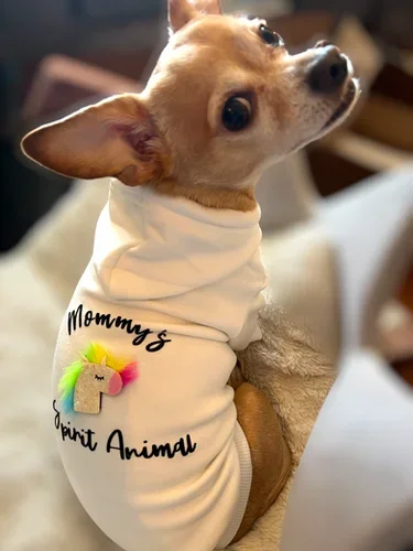 Mommy’s Spirit Animal Hoodie