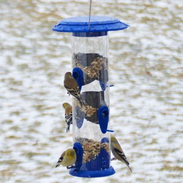 Nature’s Way Wide Funnel Flip-Top Tube Feeder