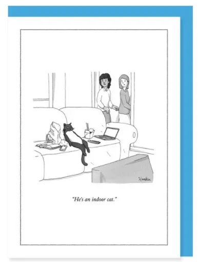 New Yorker Card Cat / Couch Indoor