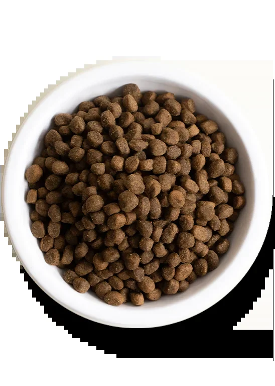 Open Farm Grass-Fed Beef Dry Dog Food