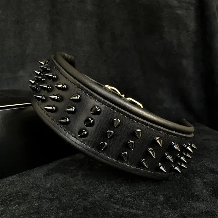 ”Black Giant” collar