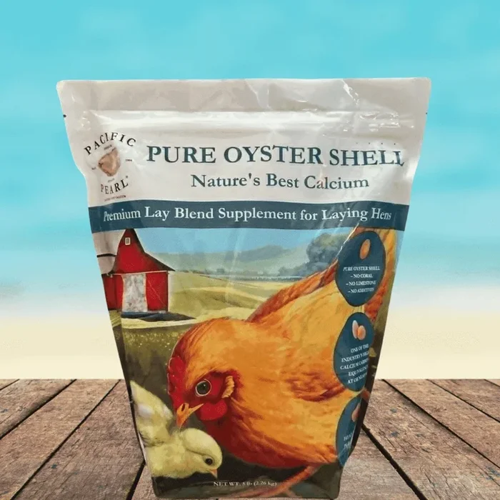 Pacific Pearl Oyster Shell 5lb