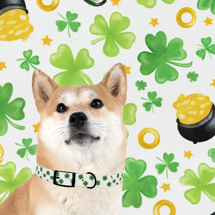Pet Collar St. Patrick’s Clover