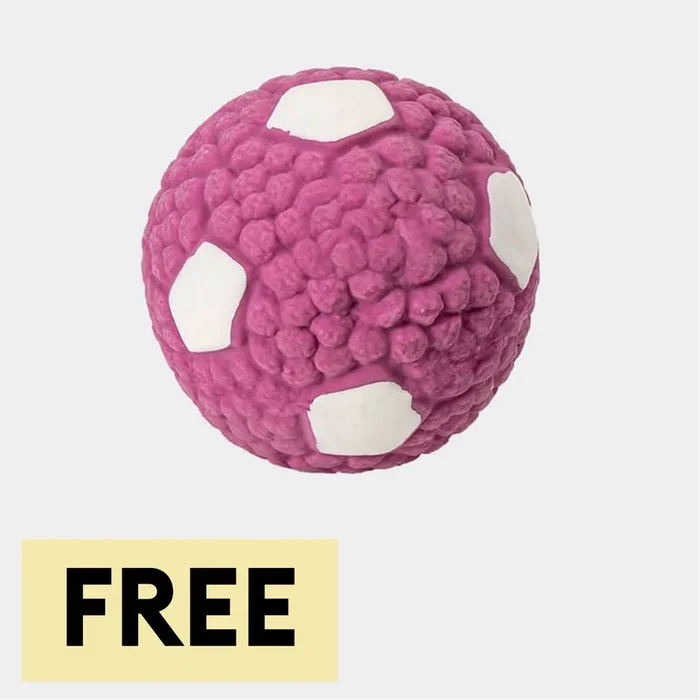 Pet Latex Squeaky Ball Toy Durable Interactive Dog Chew Toys
