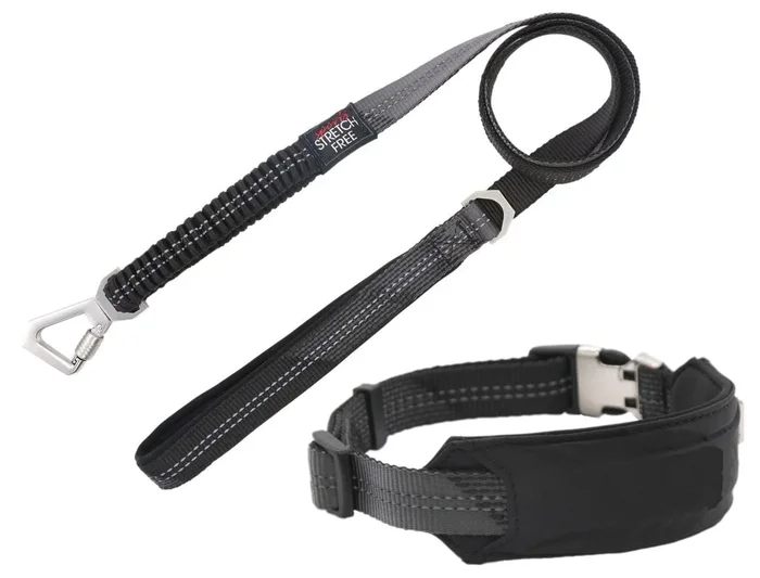 Pet Life ® ‘Geo-prene’ 2-in-1 Shock Absorbing Neoprene Padded Reflective Dog Leash and Collar