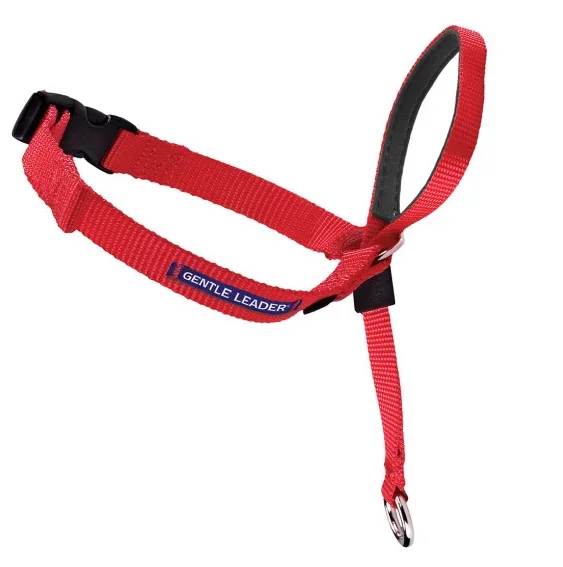 Petsafe Gentle Leader Quick Release Red Headcollar for Dogs (Medium, 25-60 lbs)