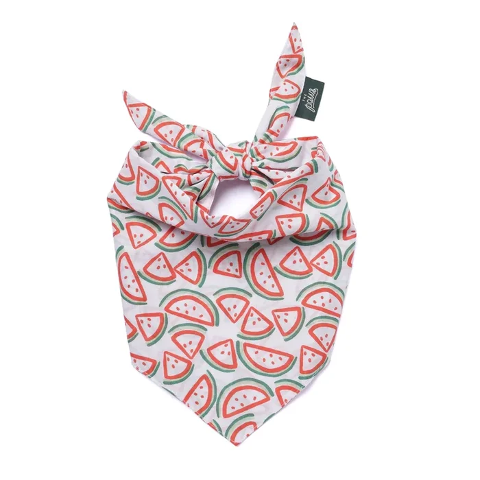 Picnic Watermelon Dog Bandana