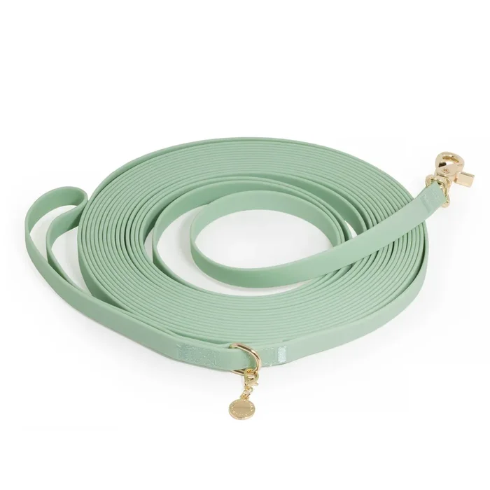 Pistachio Green Waterproof Cloud 30 Ft Dog Leash