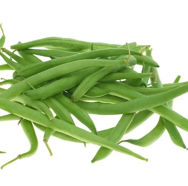 Provider Bush Bean Vegetable Seed