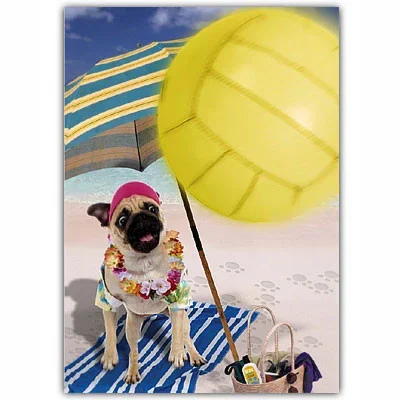 Pug Volleyball Birthday Card