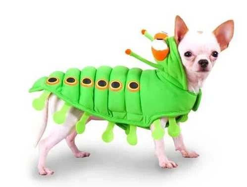 Puppe Love Pet Costumes – Caterpillar – Size 6