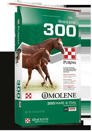 Purina® Omolene #300® Growth Horse Feed