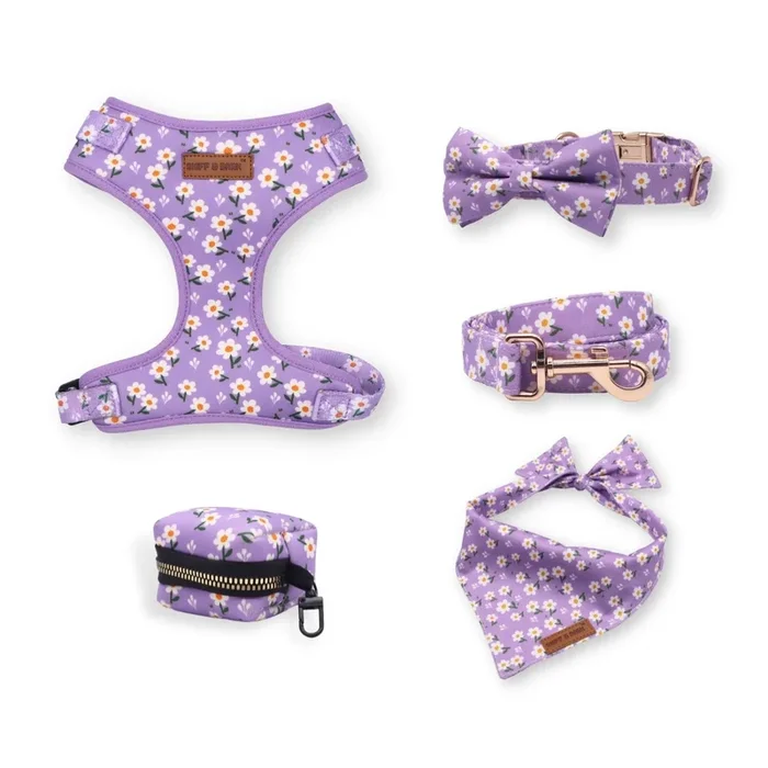Purple Daisy Dappertie™ – Mega Bundle Match