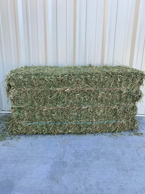 Rainbow Ag Mountain Alfalfa Hay