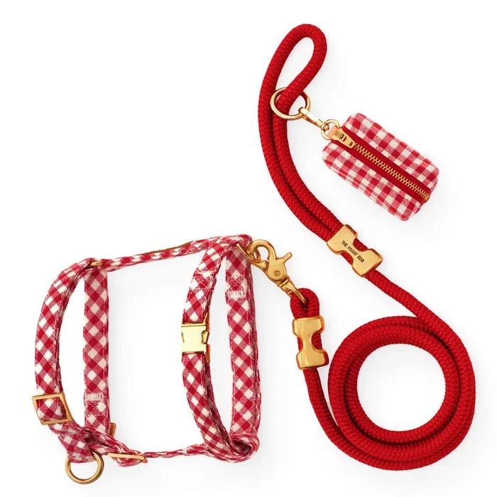 Red Gingham Harness Walk Set