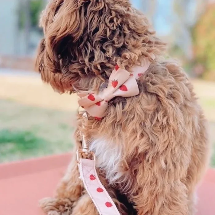 Rosie Strawberry Signature Band™ + Slide-On Dappertie™ + Joyline™