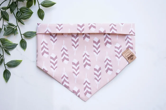 Ruffled Feathers – Dog Bandana Tie-On with Snap Buttons